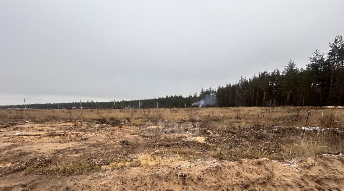 земля р-н Рамонский д Медовка ул Лазурная пос, Лазурный кп, Новоживотинновское с фото 8