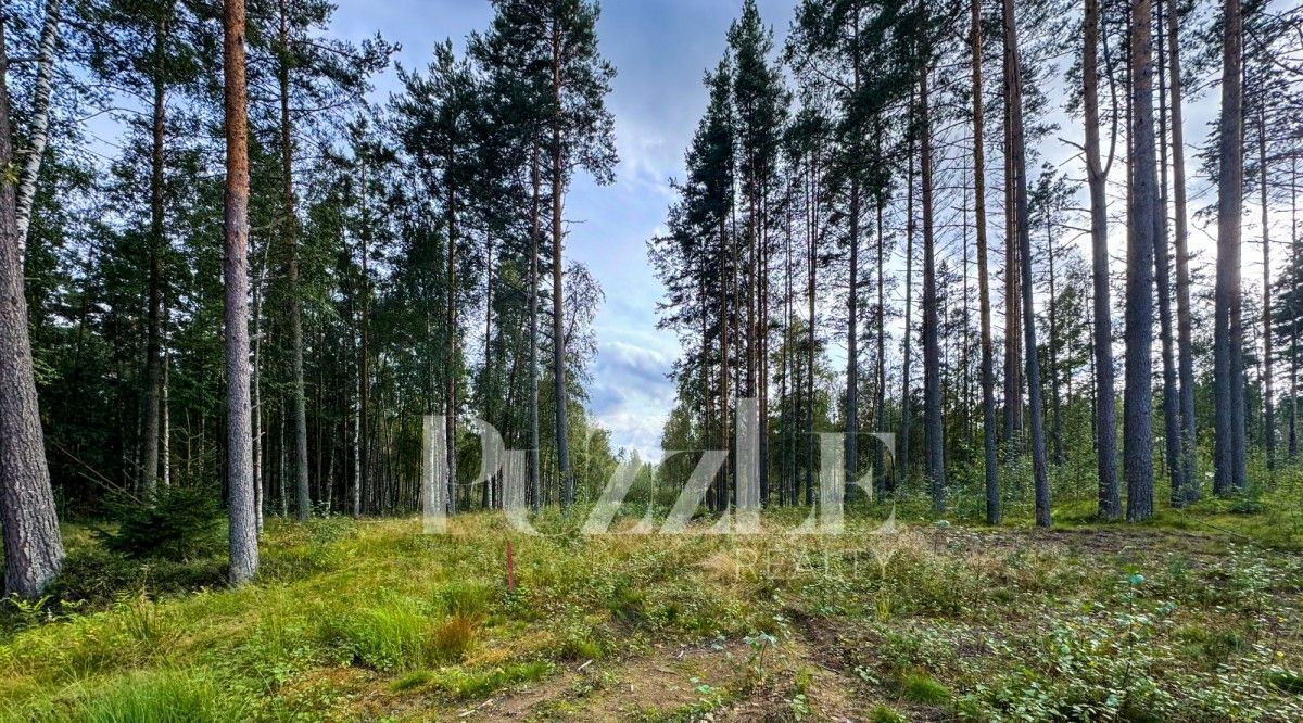 земля р-н Приозерский д Раздолье Раздольевское с/пос, Солнечный Орнамент кп фото 1