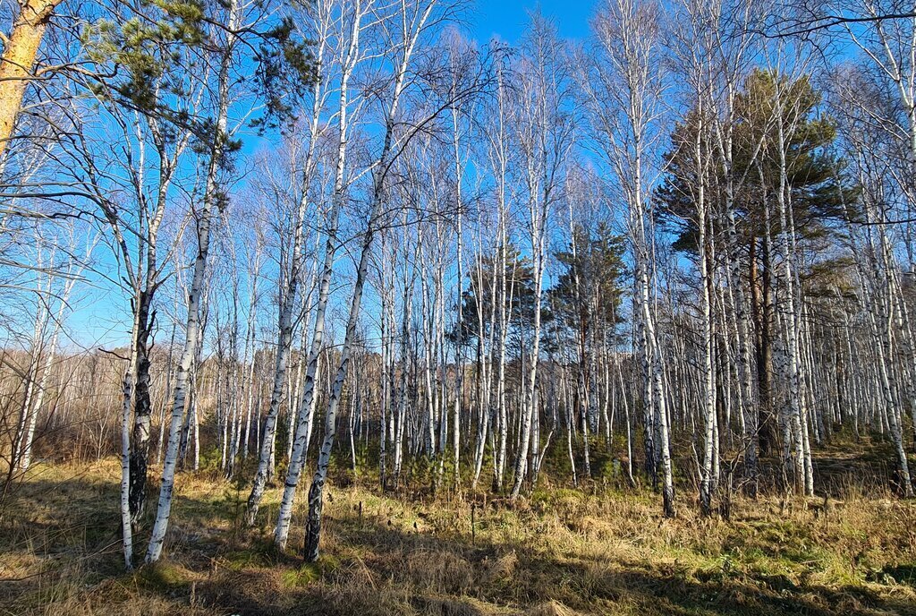 квартира р-н Иркутский п Молодежный ул Спецстроевская 21 фото 16