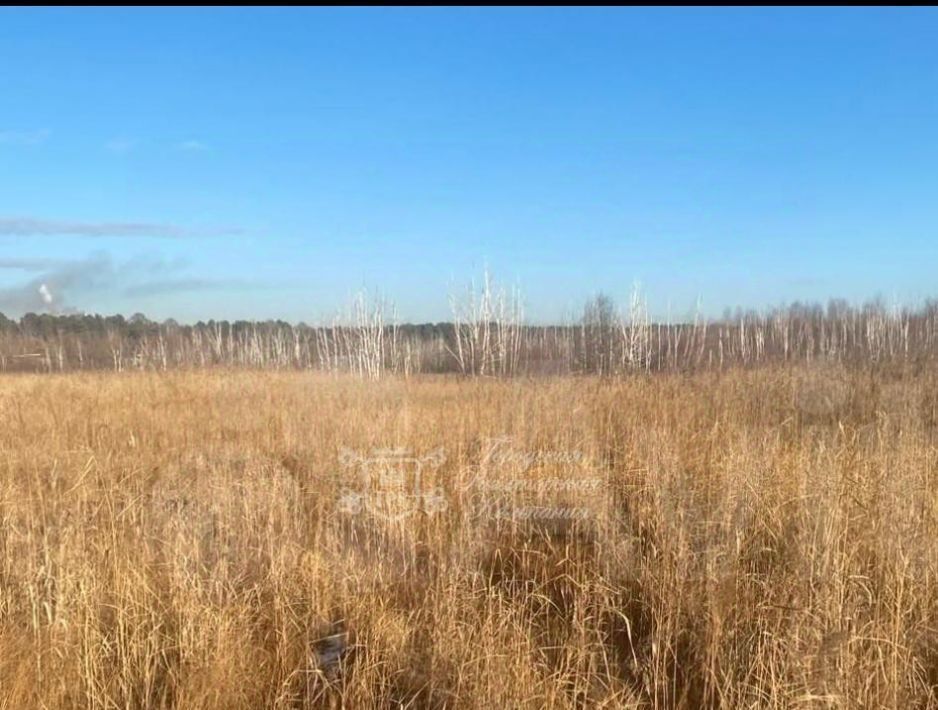 земля р-н Иркутский п Усть-Балей фото 2