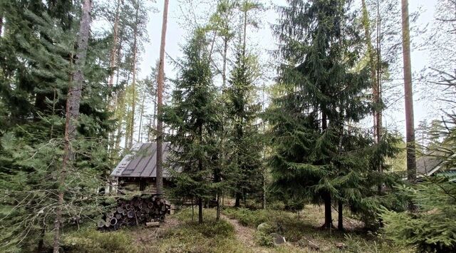 Вырица городской поселок, Звездная, ул. Дзержинского, 8 фото