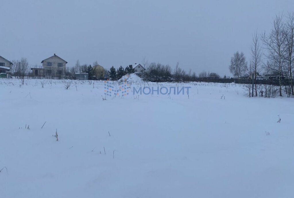 земля р-н Богородский д Шилово фото 4