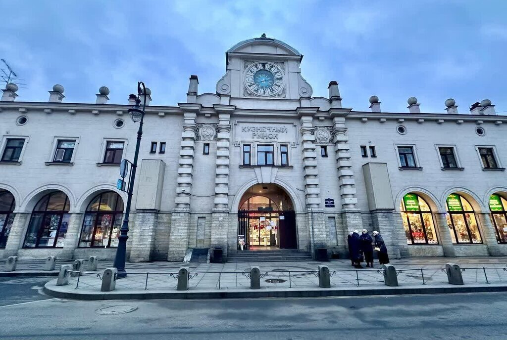 квартира г Санкт-Петербург метро Владимирская пер Кузнечный 10 фото 30