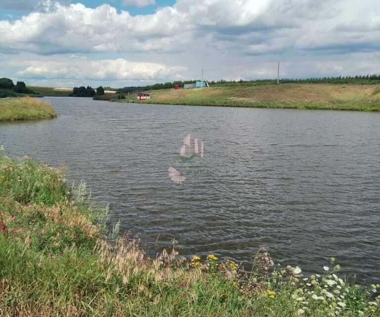 дом р-н Петровский село Татарская Пакаевка фото 9