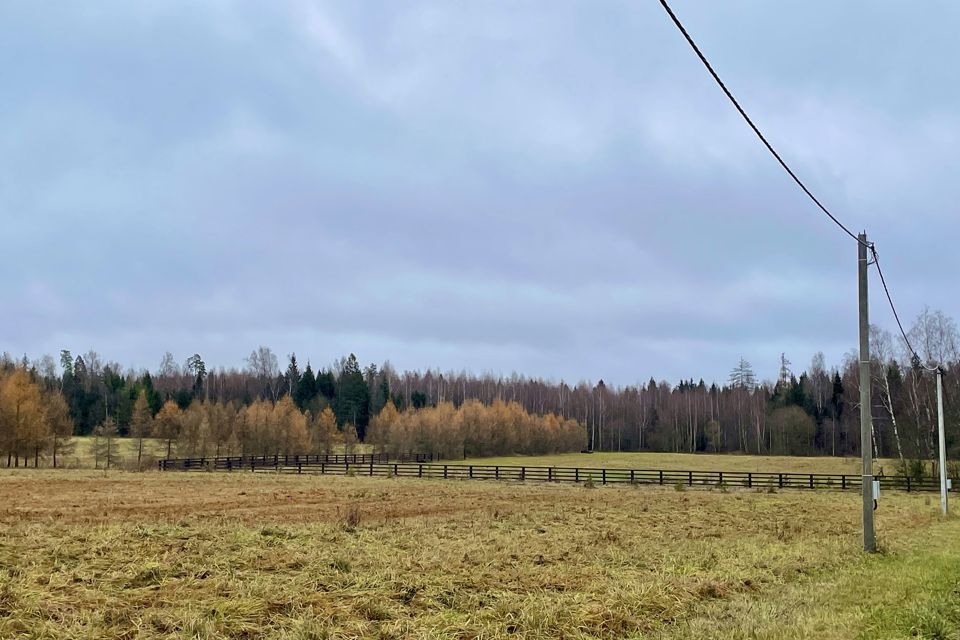 земля городской округ Дмитровский с. Подъячево фото 6