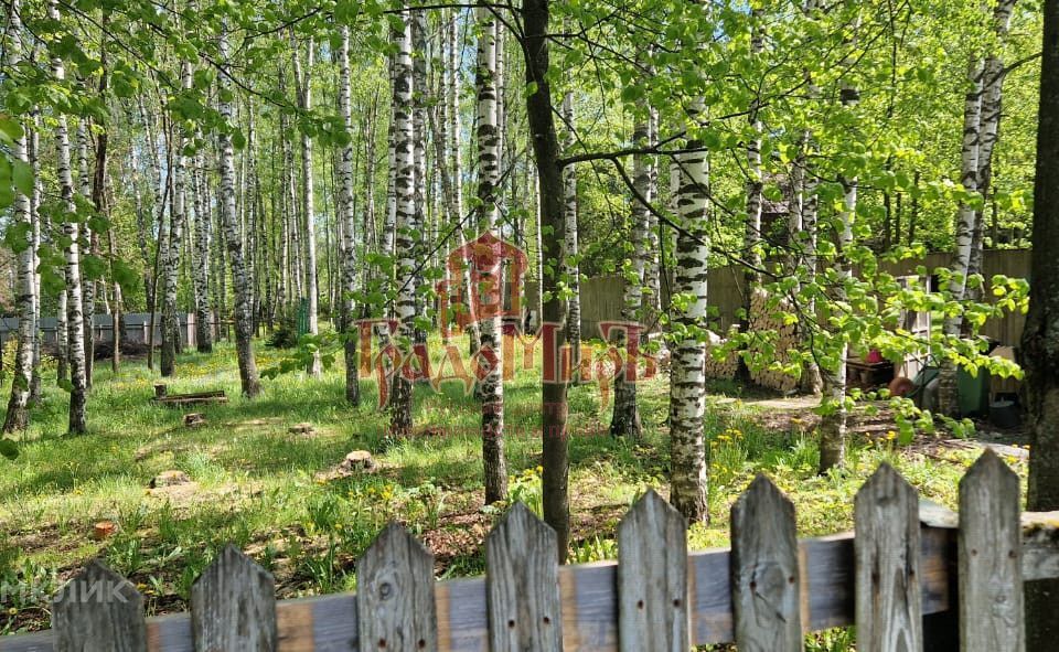 земля городской округ Пушкинский дп. Зеленоградский фото 10