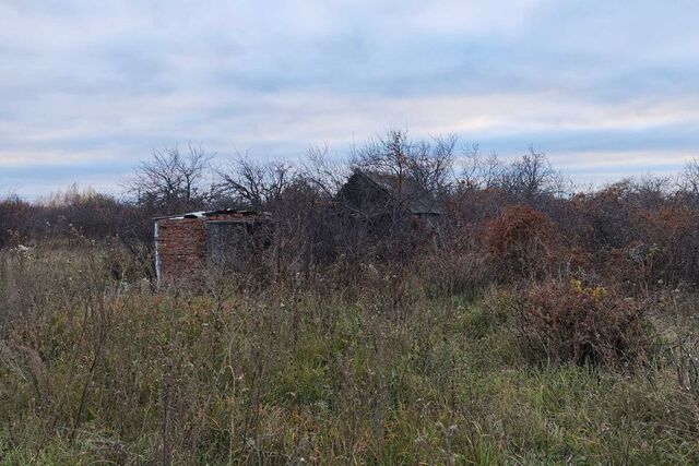 земля г Лениногорск СО Восход 1 фото