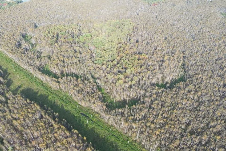 земля р-н Нижнетавдинский снт Сундукуль ул Малиновая фото 5