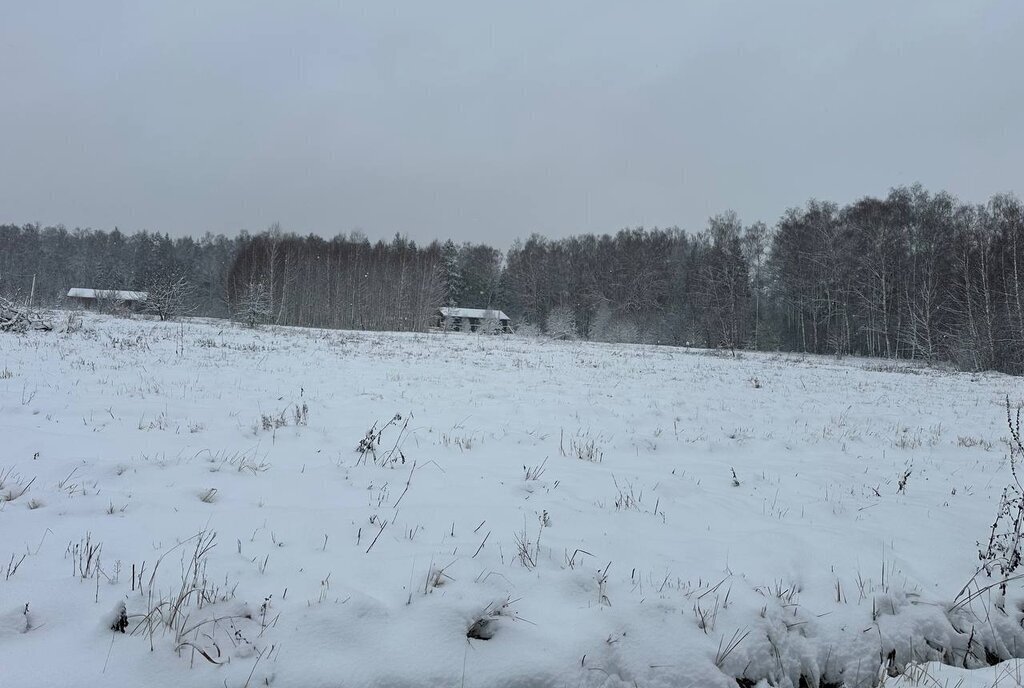 земля городской округ Истра д Сафонтьево днп терСафонтьевские дачи фото 18