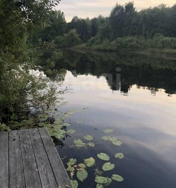 земля р-н Килемарский д Петропавлово ул Петропавловская фото 1