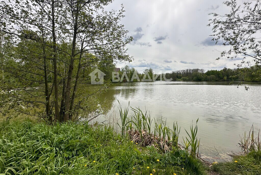 земля городской округ Коломенский с Никульское ул Центральная фото 5