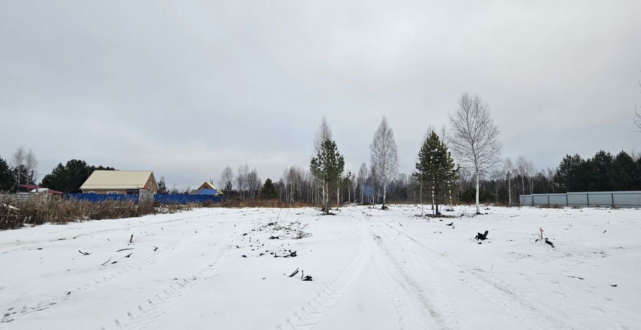 земля р-н Тюменский с Червишево Червишевское сельское поселение фото 1