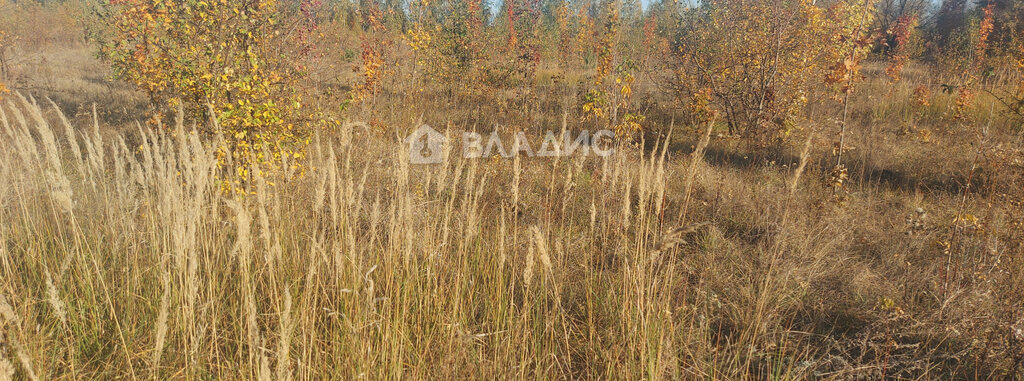 земля р-н Тамбовский д Малиновка 1-я территория Военный Городок № 22 фото 8