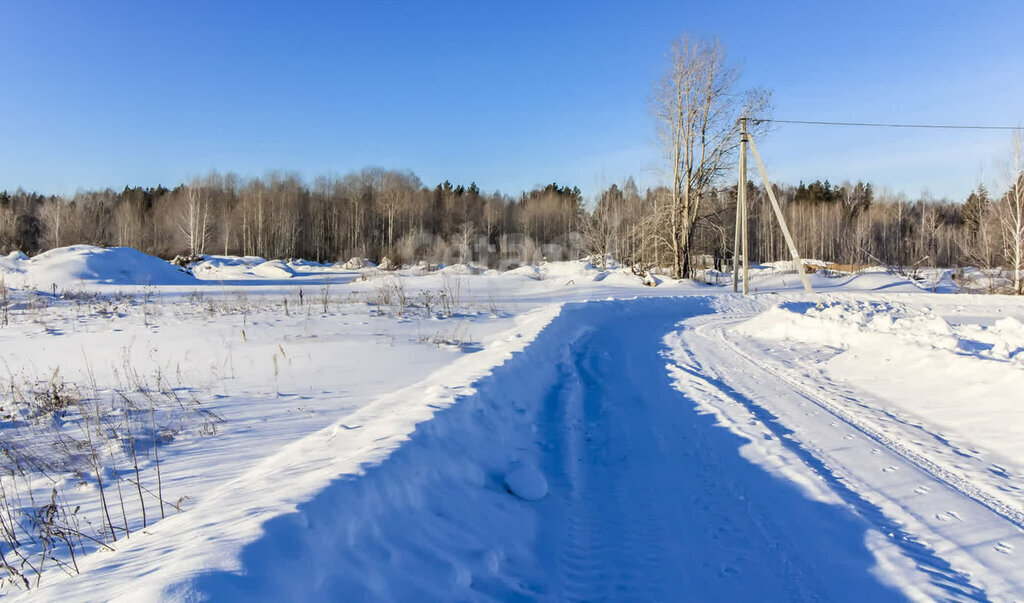 земля р-н Нижнетавдинский с Тюнево ул Новогодняя фото 6