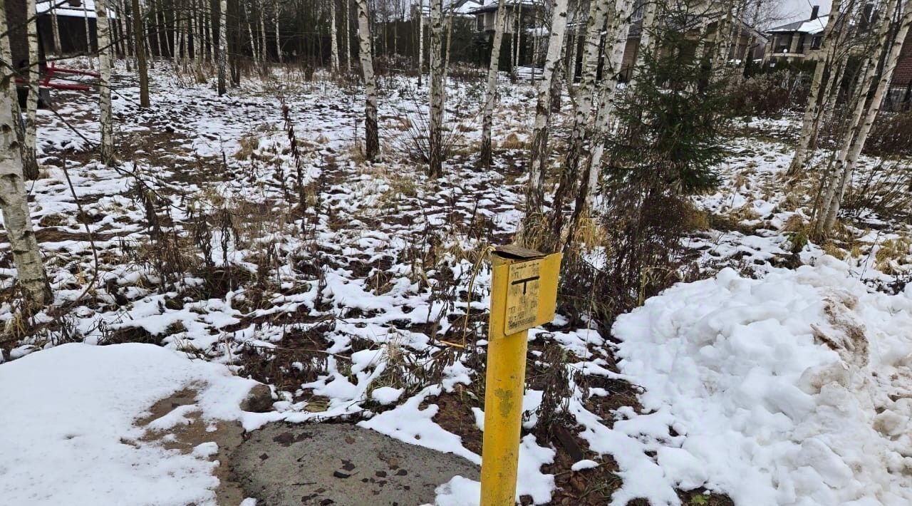 земля городской округ Наро-Фоминский д Глаголево Апрелевка, 23 фото 11