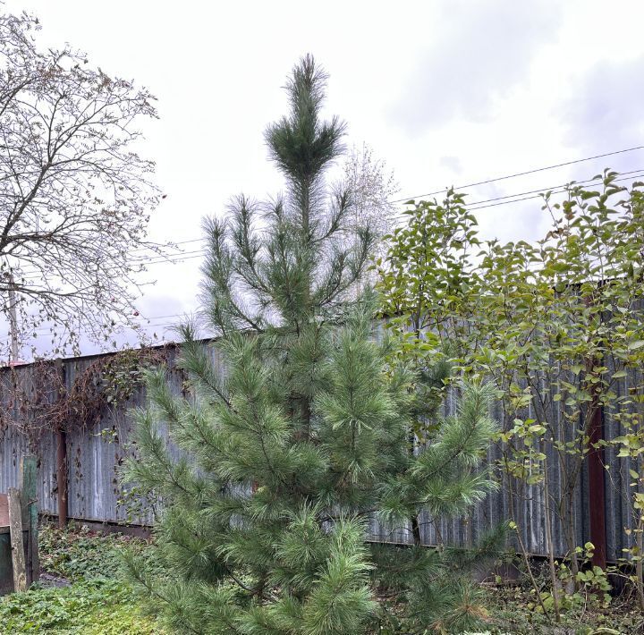 дом р-н Всеволожский снт Пороги Свердловское городское поселение, Обухово, 5-я линия, 8 фото 19