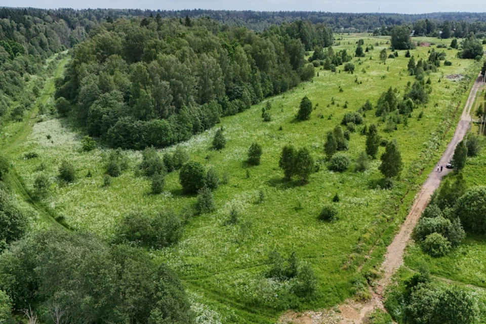 земля городской округ Истра д Алёхново снт Московский Писатель ул 10-я Южная 1 фото 1