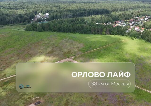 д Орлово 29 км, Фрязино, Фряновское шоссе фото