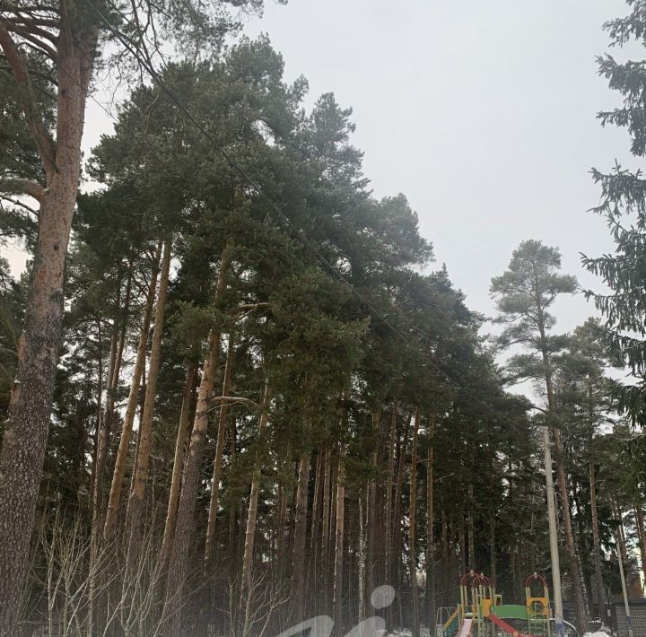 земля городской округ Солнечногорск д Общественник Пятницкое шоссе фото 8