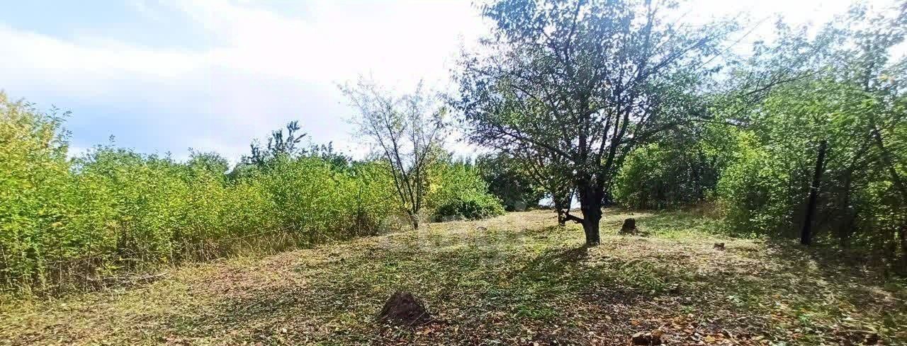 земля р-н Белгородский с Никольское снт Родники фото 2