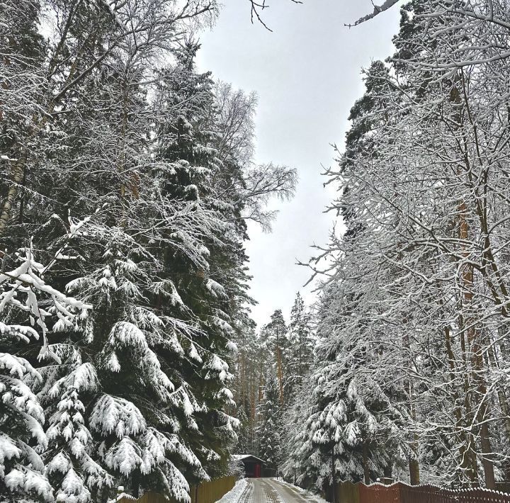 дом городской округ Пушкинский Вальдорф кп фото 14