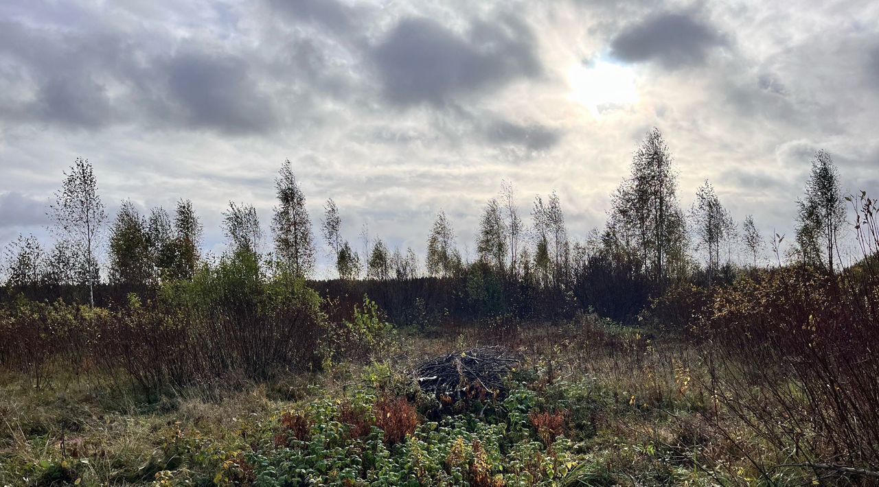 земля р-н Тихвинский д Фишева Гора Тихвинское городское поселение, ул. Волжская, 13 фото 1