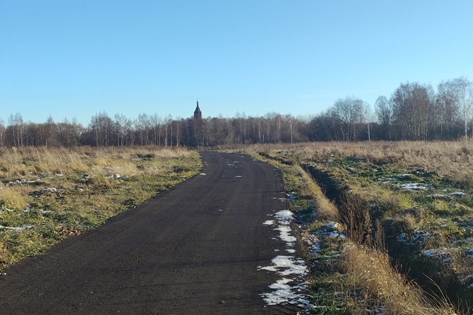 земля городской округ Орехово-Зуевский д. Кудыкино фото 1