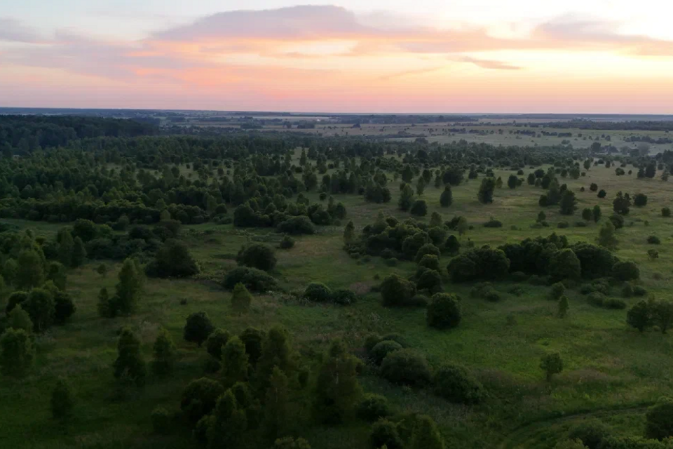 земля городской округ Ступино д. Байдиково фото 4