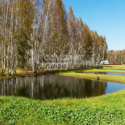 земля городской округ Ступино д. Колычево фото 1