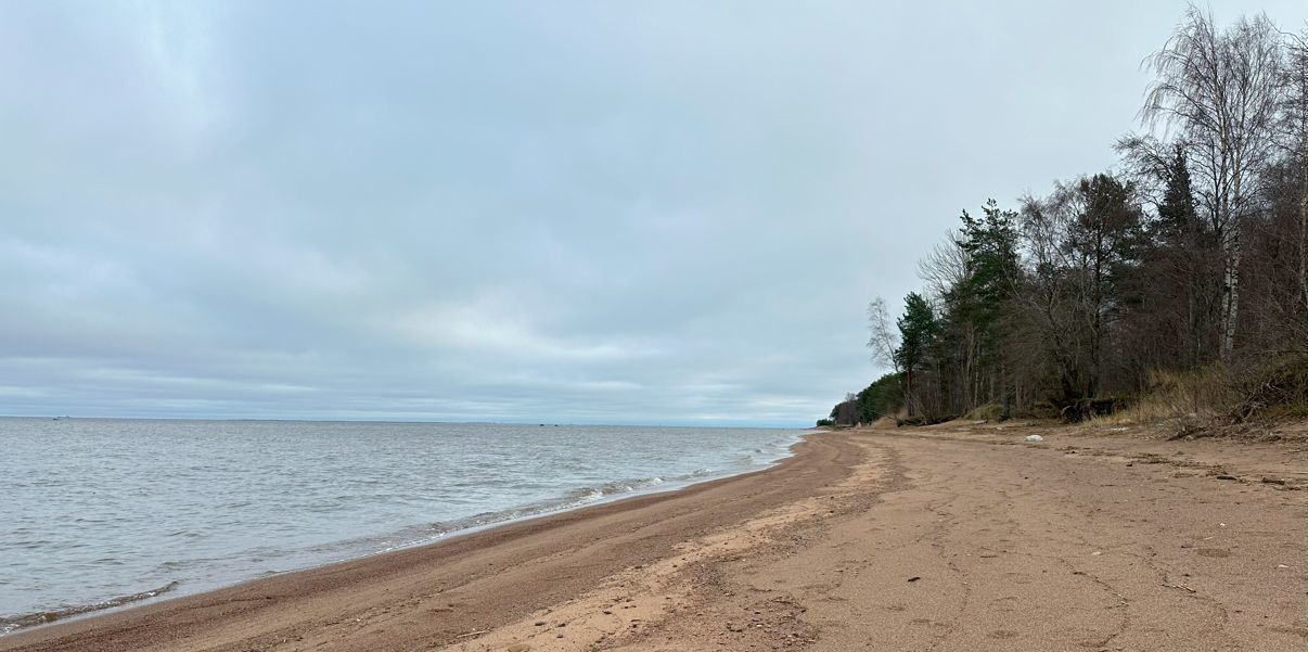 земля р-н Ломоносовский п Лебяжье Лебяженское городское поселение, городской пос. Лебяжье фото 3