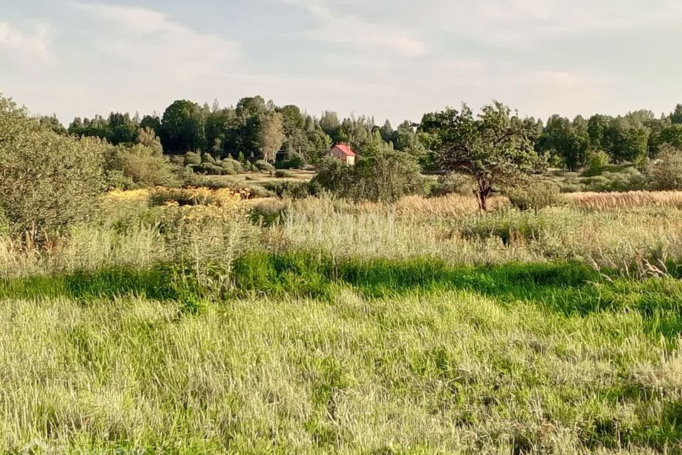 земля р-н Островский Городище фото 1