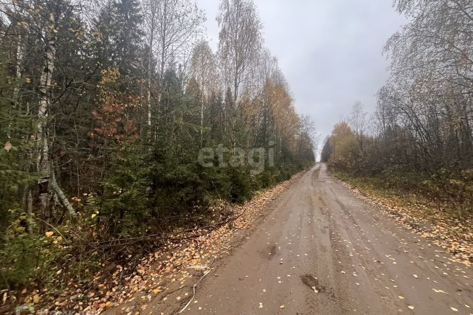 земля р-н Сыктывдинский фото 2