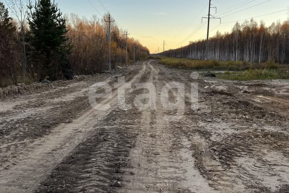 земля р-н Нижнетавдинский снт Геолог-2 Озеро Сундукуль фото 3