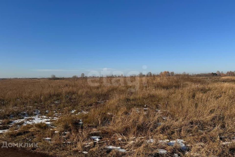 земля г Тюмень Тюмень городской округ, Коттеджный поселок Грин Парк фото 4