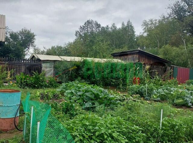 Чита городской округ, СНТ Автобаза Связи, Дачная улица фото