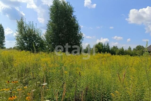 СДТ Полёт, Брянский район фото