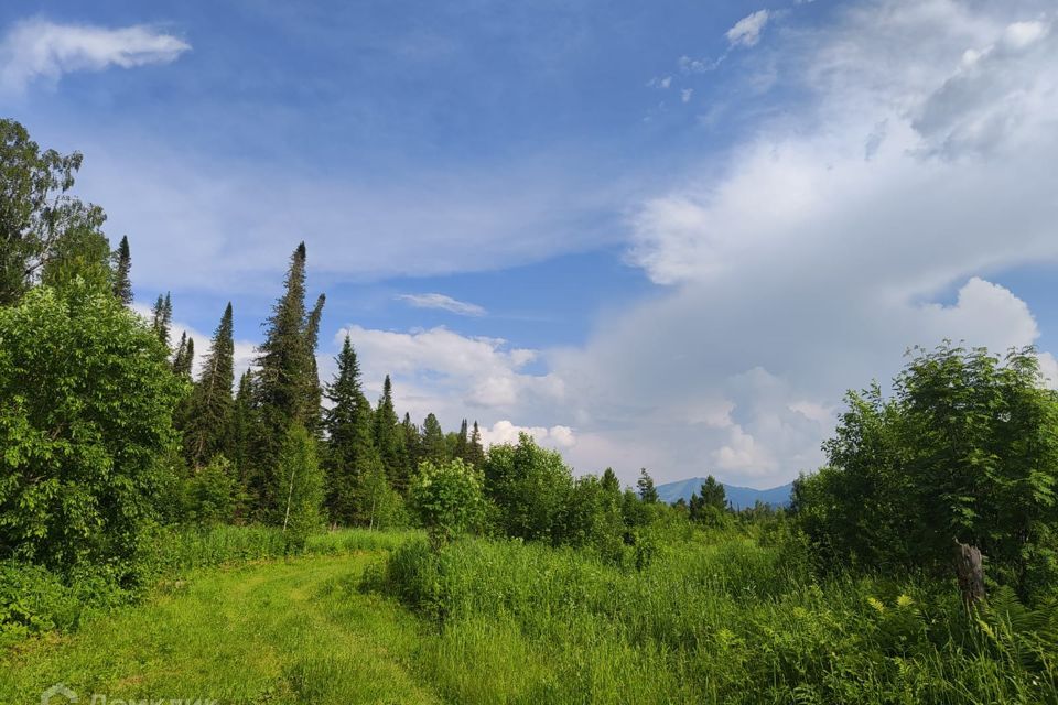 земля р-н Турочакский Артыбаш фото 1