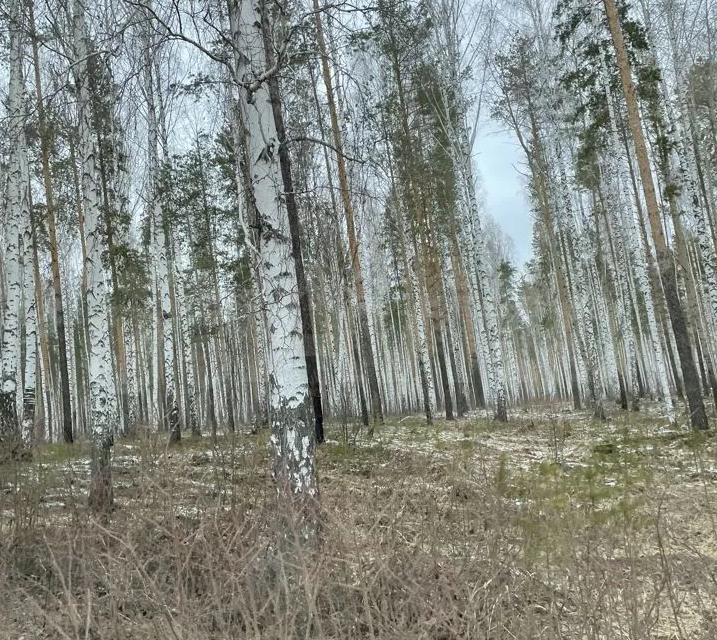 земля р-н Артемовский с Мостовское Верхняя Пышма городской округ, Старотагильский тракт 30 километр фото 7