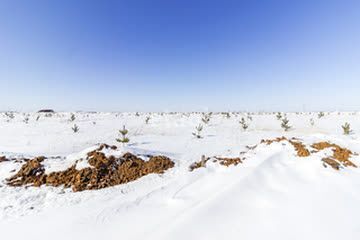 земля р-н Тукаевский фото 2