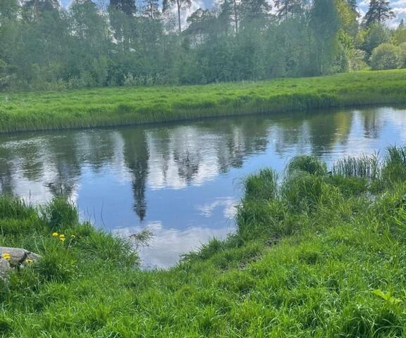 городской посёлок Сиверский, проспект Героев фото