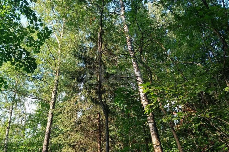 земля городской округ Мытищи д Хлябово ул Виражная фото 9