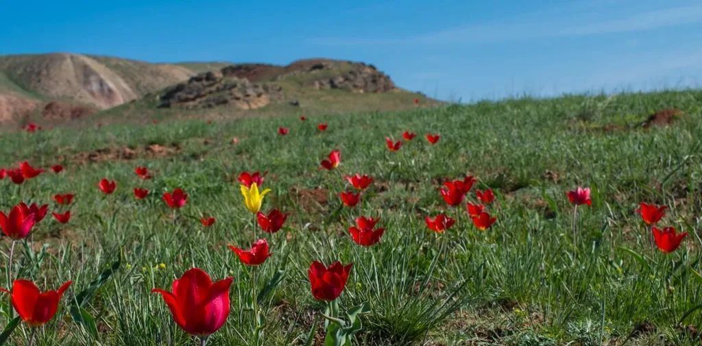 квартира р-н Ахтубинский рп Нижний Баскунчак тер Микрорайон 2 фото 11