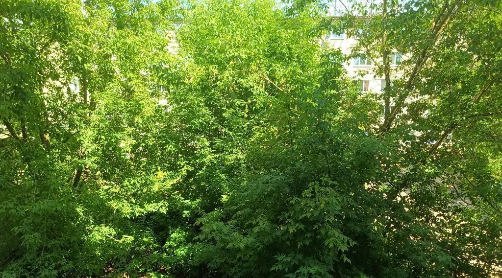 комната г Кинешма ул им Юрия Горохова 6 фото 7