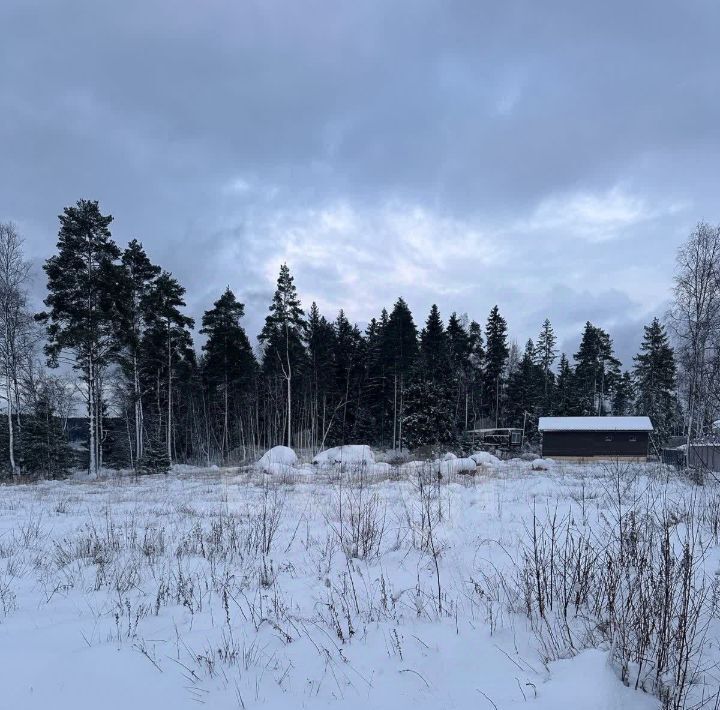 земля р-н Выборгский Приморское городское поселение, Сосновый пляж кп, 19 фото 5