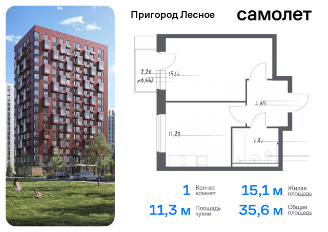 д Мисайлово Домодедовская, микрорайон Пригород Лесное, к 14. 2, Каширское шоссе фото