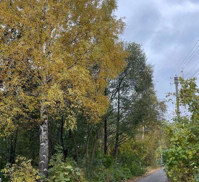 дом г Старый Оскол Ламская, Старооскольский городской округ фото 3