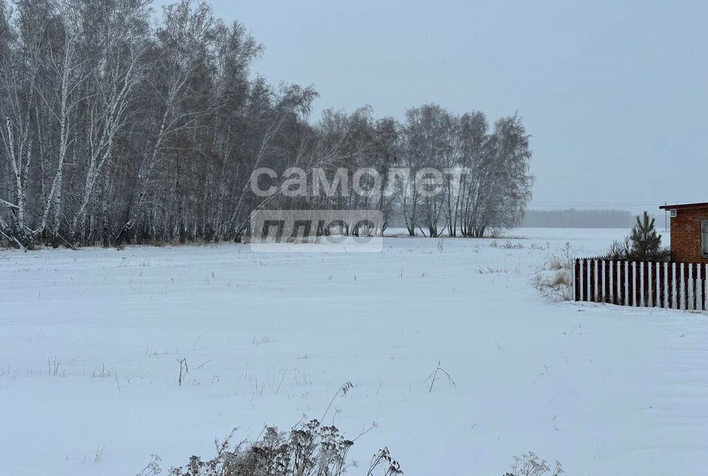 земля р-н Азовский немецкий национальный с Цветнополье ул Северная фото 6