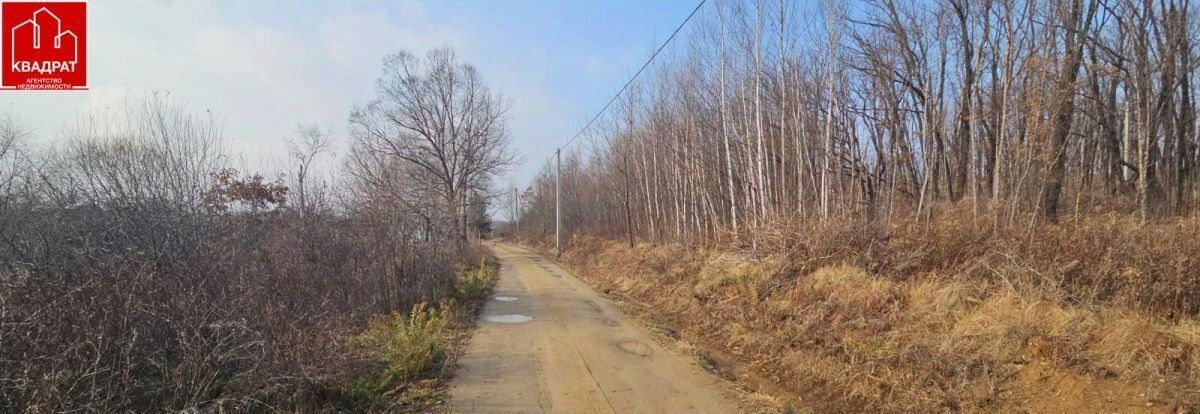 земля г Арсеньев микрорайон Солнечный фото 2