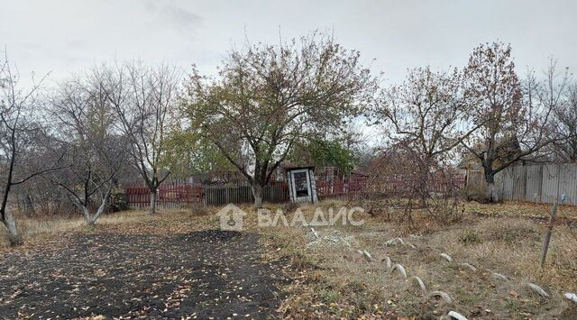 снт Октябрь фото
