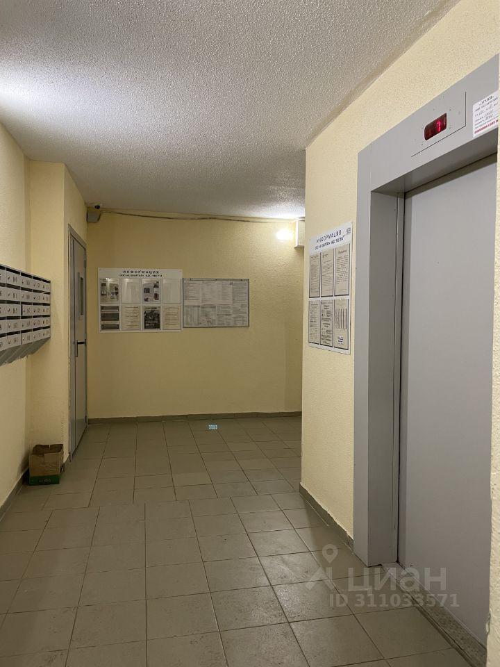 квартира г Красное Село ул Освобождения 33/2 р-н Красносельский Ленинградская область фото 15